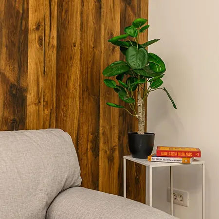 Mohost Blue Moon شقة براشوف