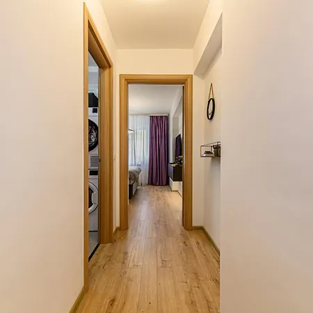 Mohost Blue Moon * براشوف