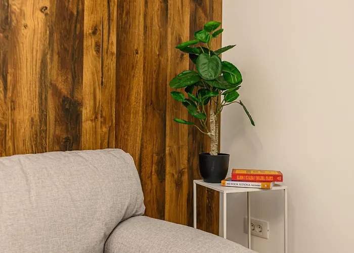 Mohost Blue Moon Apartment Brasov