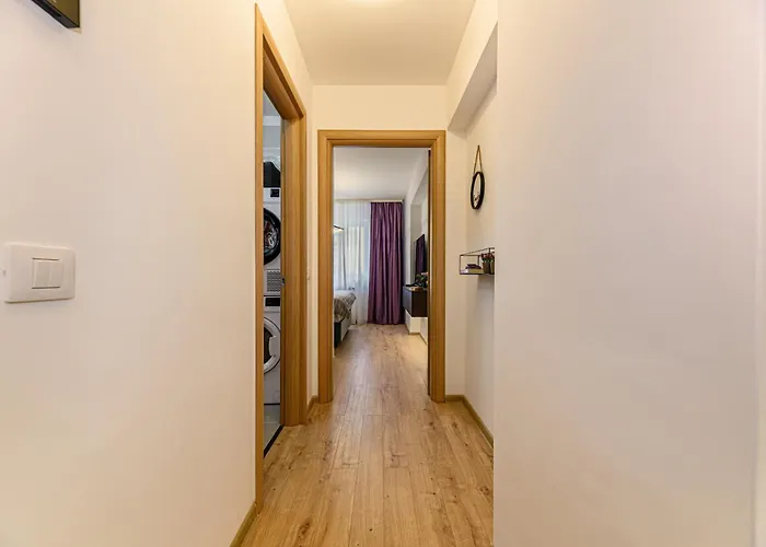 Mohost Blue Moon * Брашов