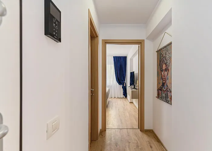 Mohost Blue Moon * Brasov